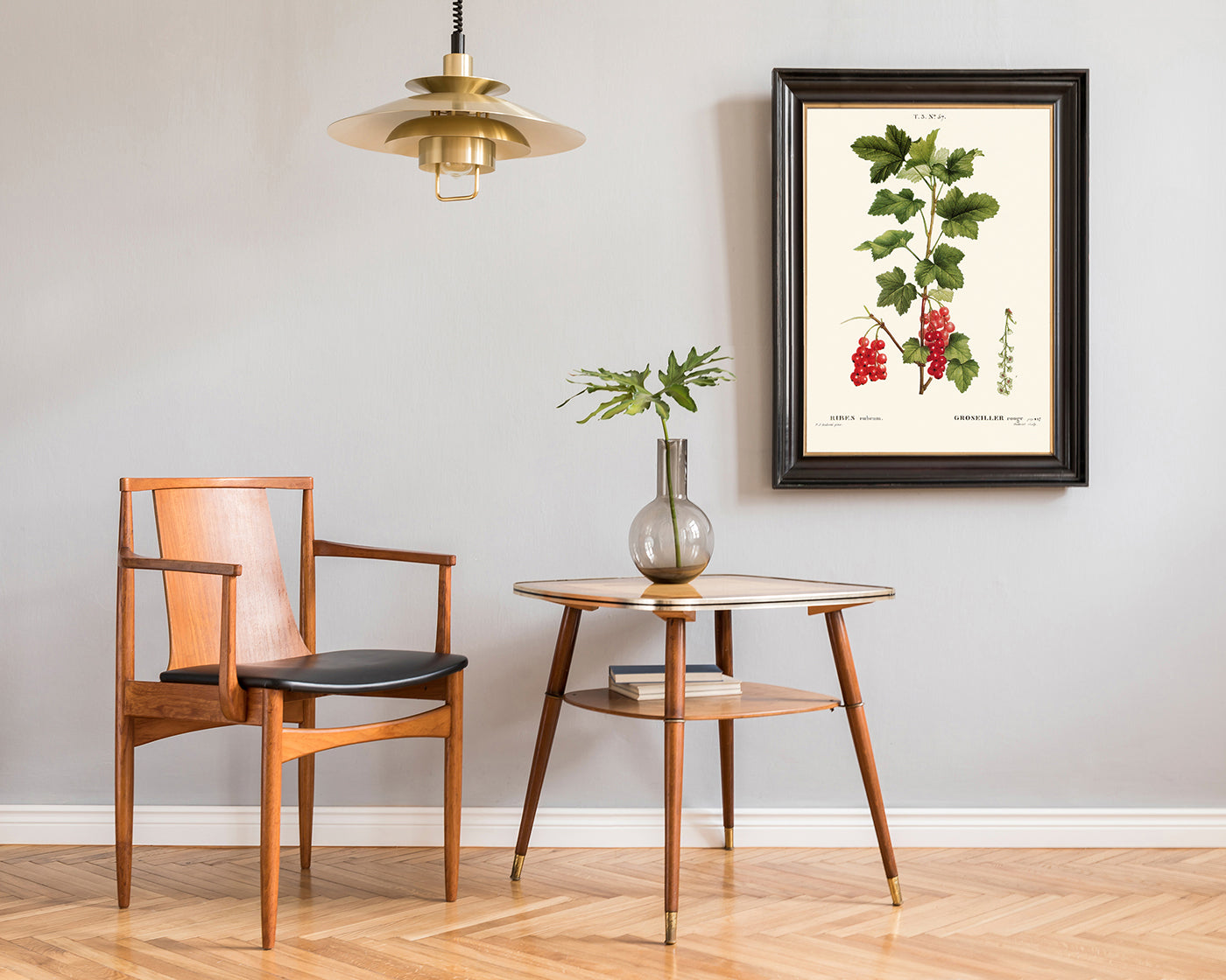 Ribes - Johannisbeer-Zweig