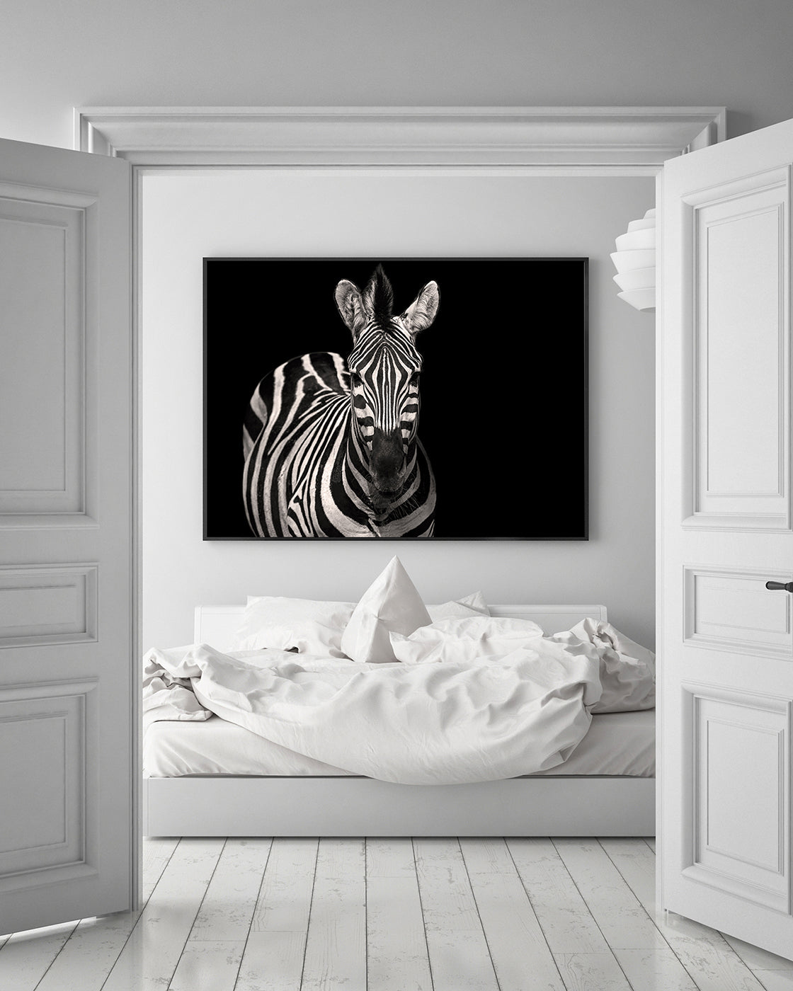 Zebra auf schwarzem Hintergrund