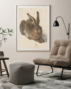 Albrecht Dürer - Feldhase