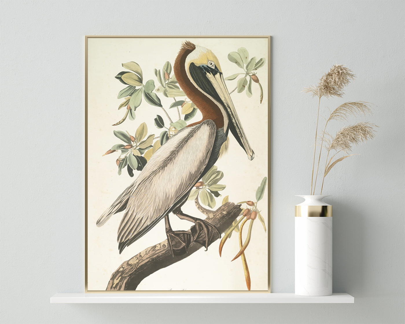 John James Audubon - Pelikan am Baum