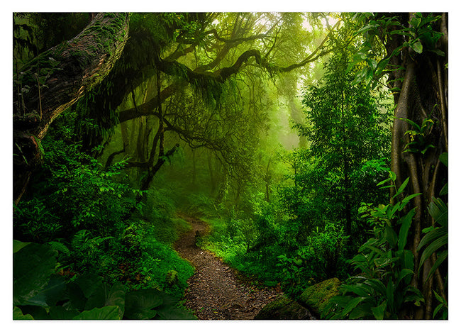 Regenwald Hover Image