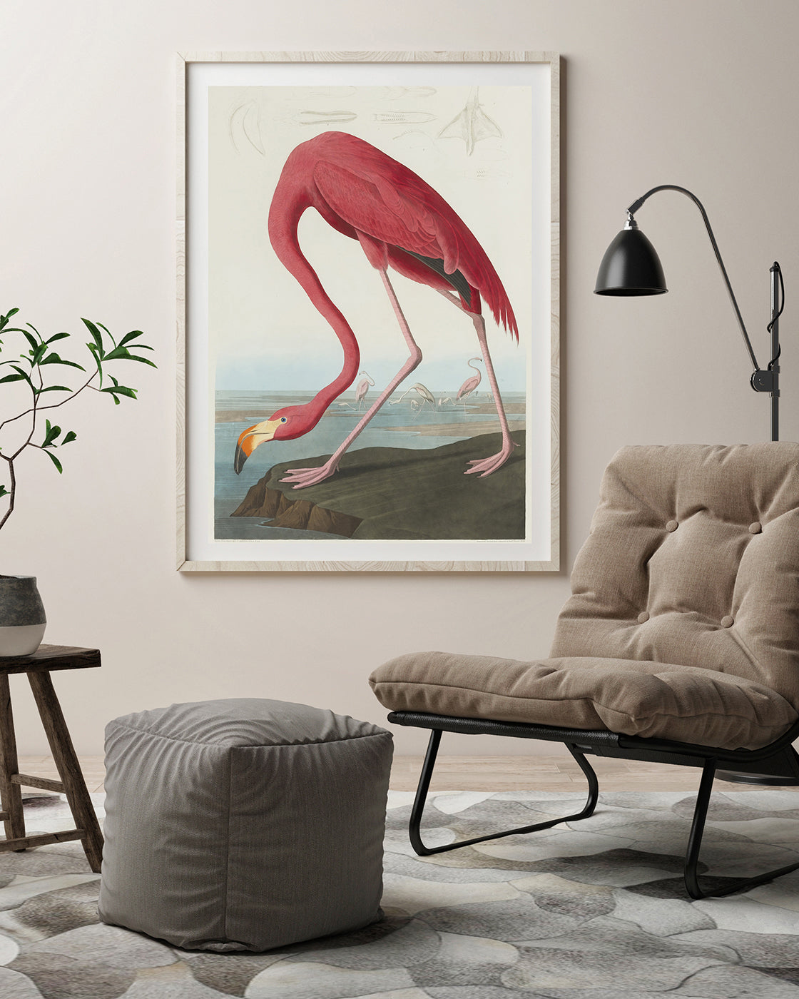 John James Audubon - Flamingo am Wasser II