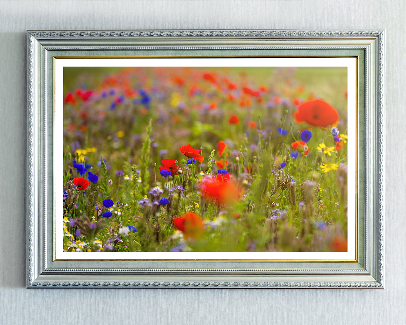 Blumenwiese im Sommer