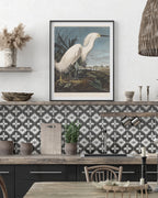 John James Audubon - Weißer Vogel am Teich