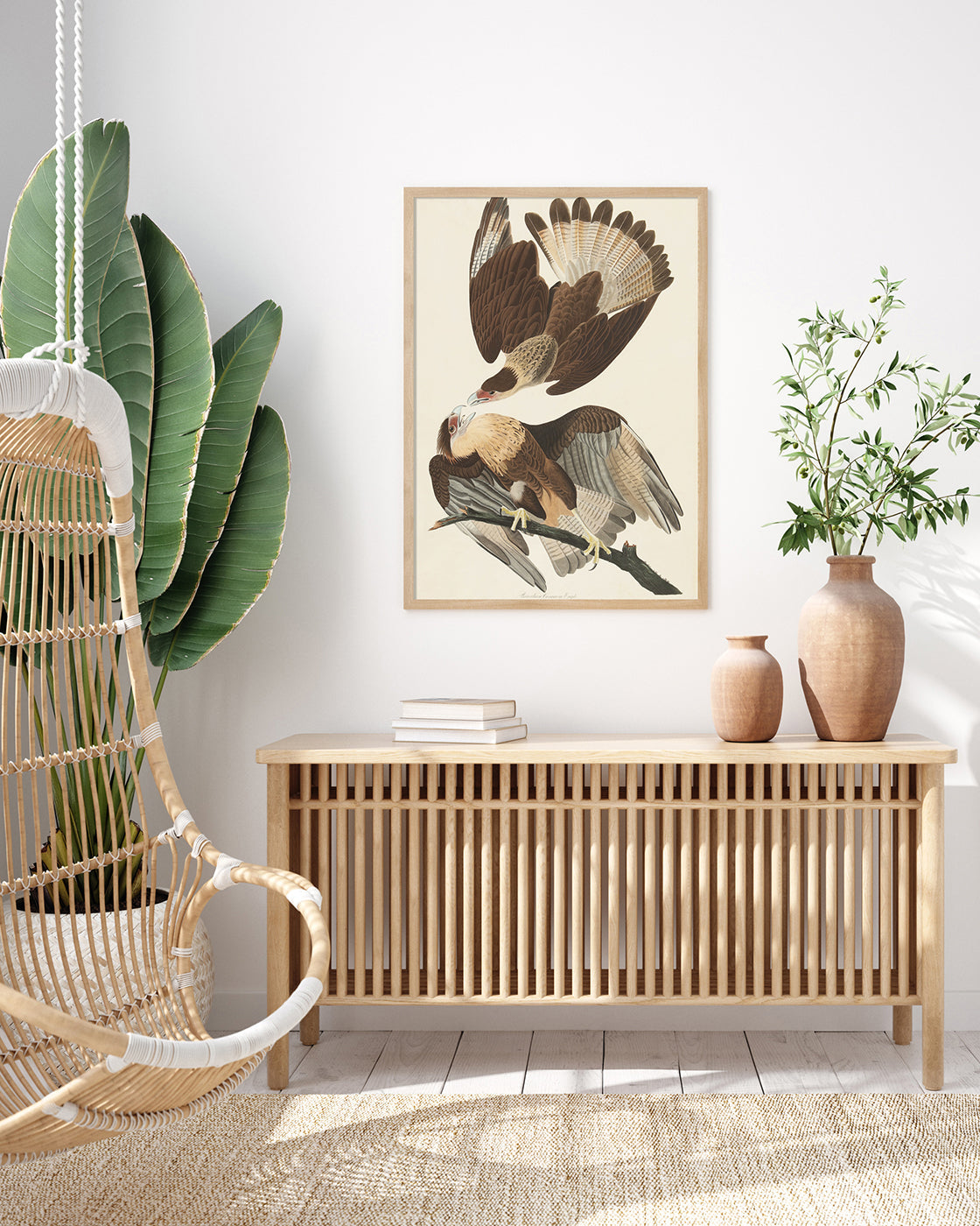 John James Audubon - Zwei Raubvögel