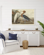 John James Audubon - Zwei Vögel am See