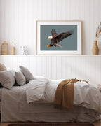 Fliegender Weißkopfseeadler