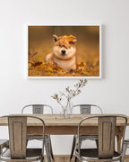 Shiba Inu im Laub