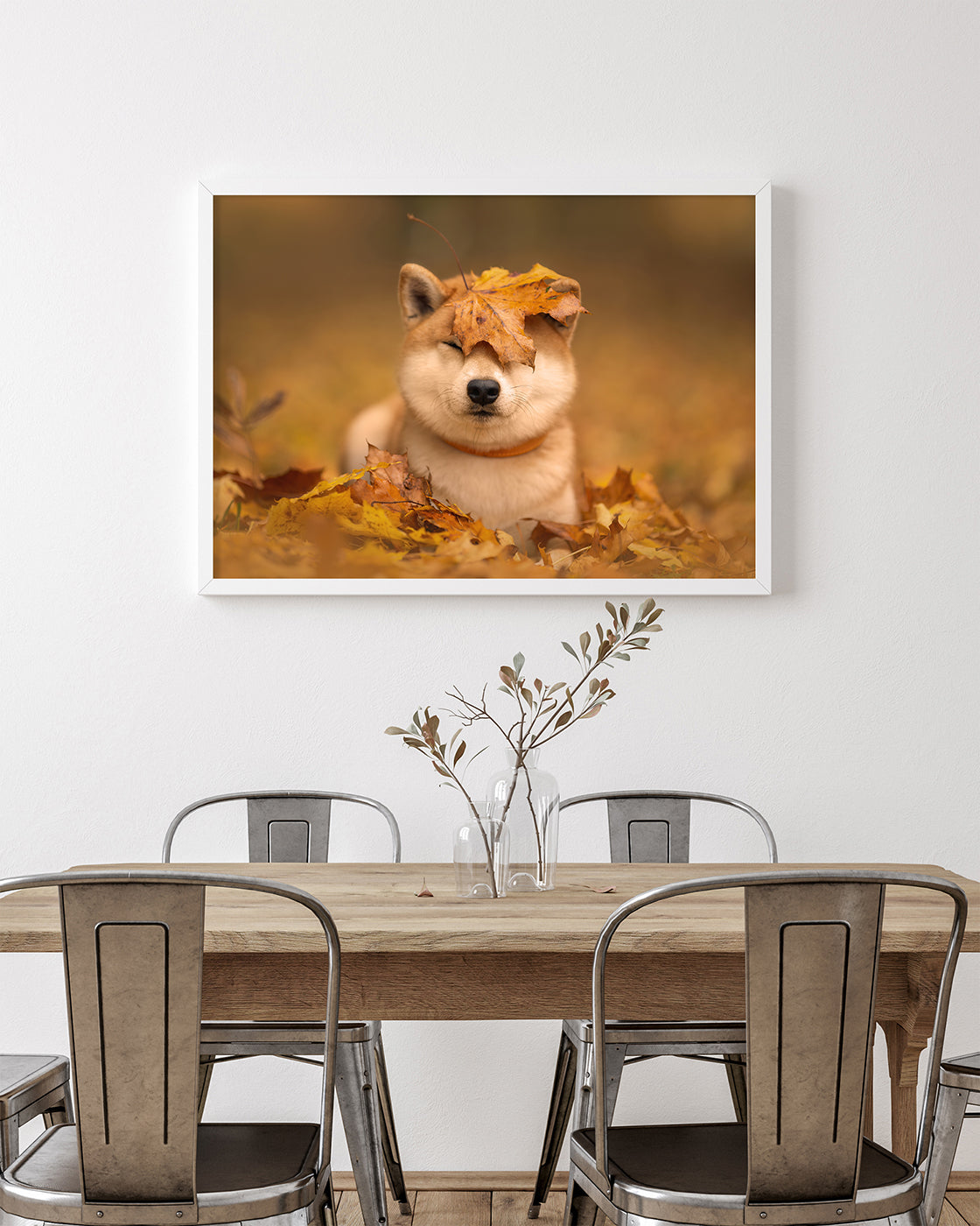 Shiba Inu im Laub