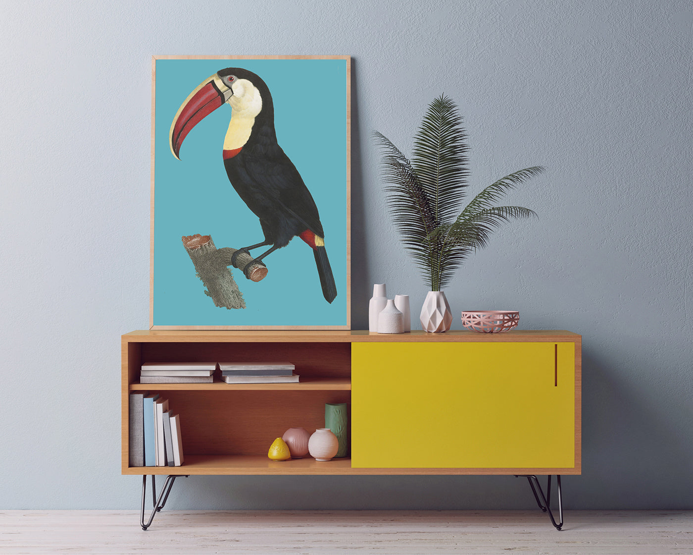 François Levaillant - Tukan auf türkisem Hintergrund