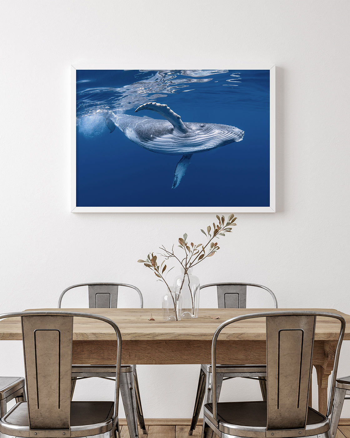 Blauwal unter Wasser