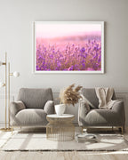 Flieder - Nahaufnahme