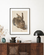 Albrecht Dürer - Feldhase