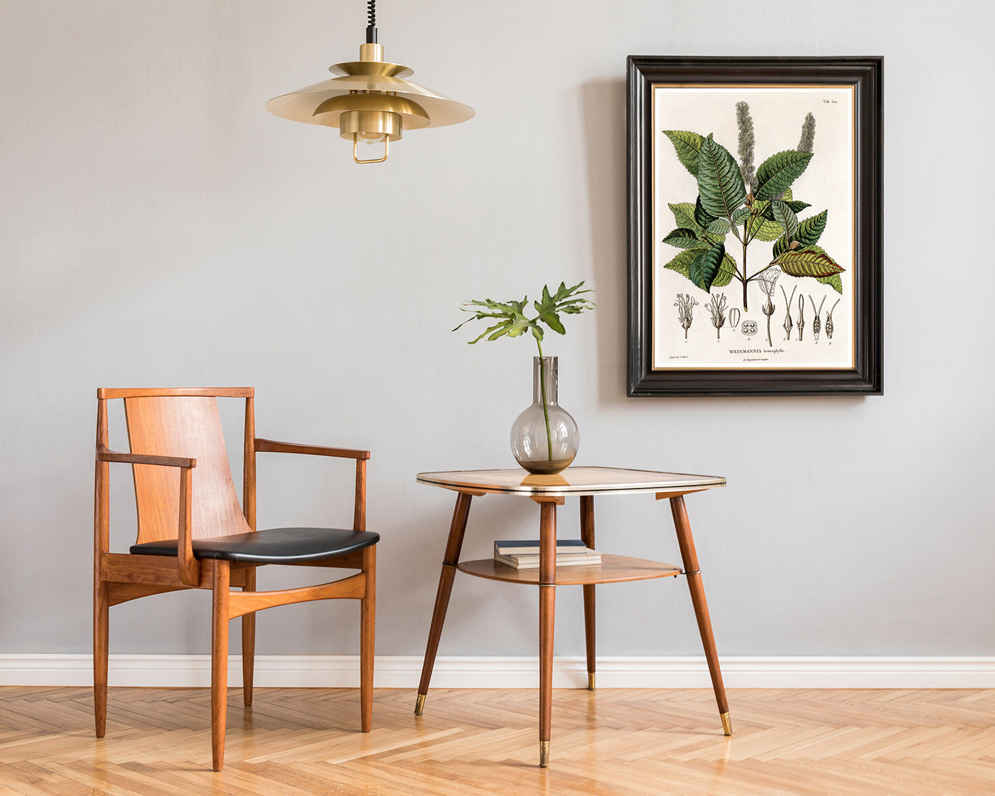 Weinmannia Heterophylla