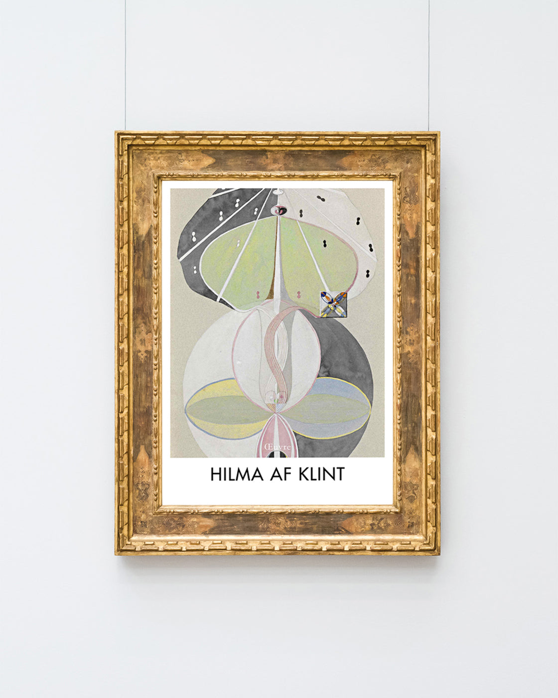 Hilma af Klint - Museum-Poster II Tree of Knowledge, Nr. 5