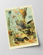 Adolphe Philippe Millot - Unterwasserwelt II