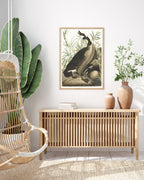 John James Audubon - Brütende Enten