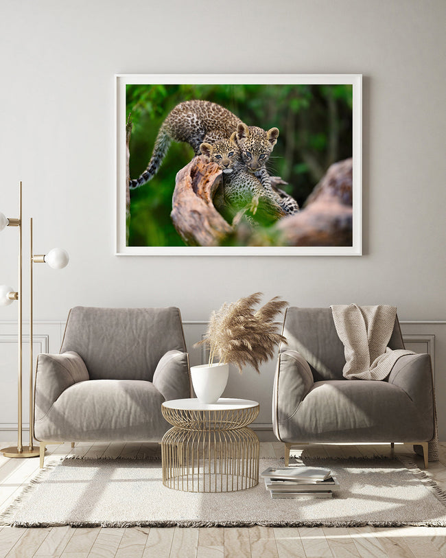 Süße Leoparden-Babies Main Image