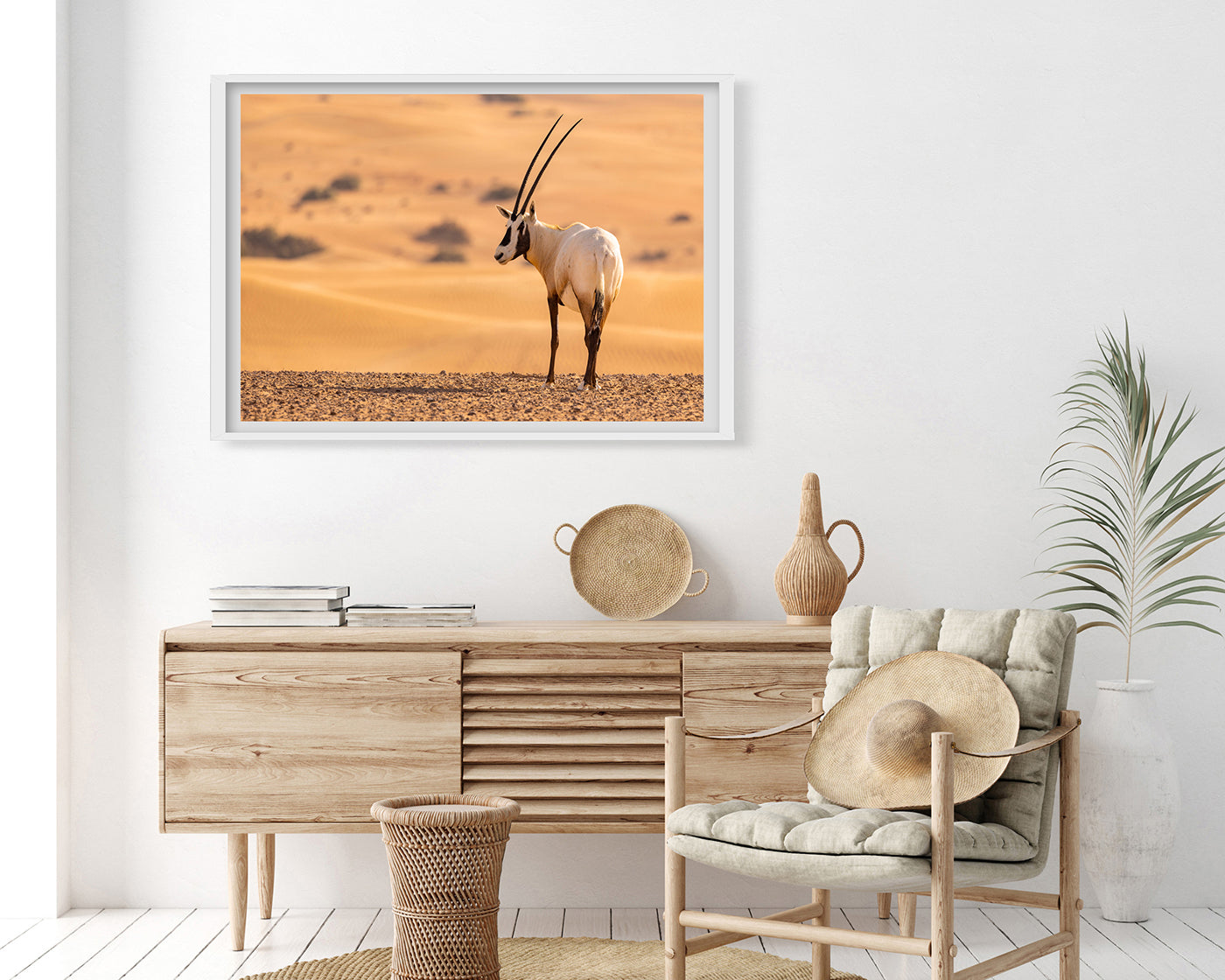 Südafrikanischer Spießbock - Oryx Gazella