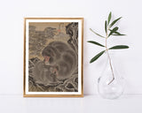 Kawanabe Kyōsai (Japanisch, 1831-1889) - Affen