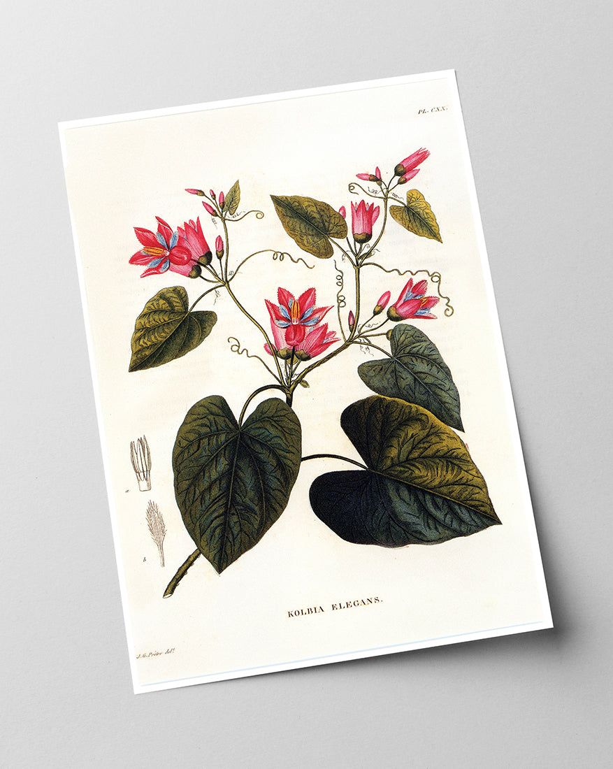 Zweig mit roten Blüten