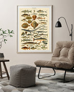 Adolphe Philippe Millot - Fische