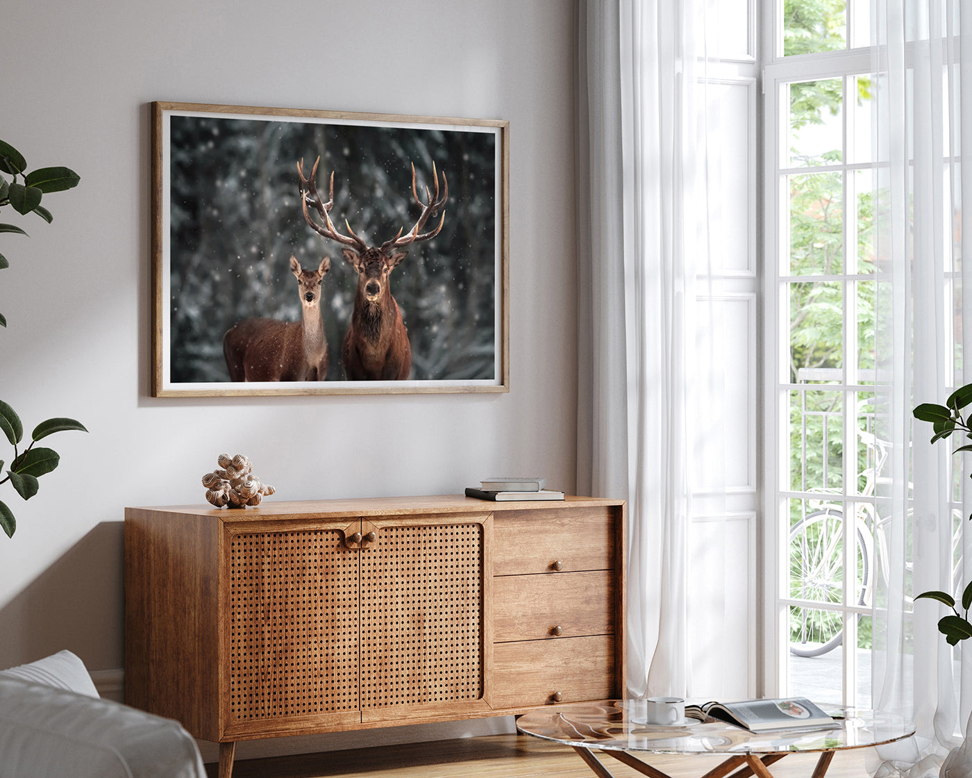 Hirsch-Paar im Winter