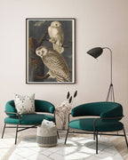 John James Audubon - Weiße Eulen bei Nacht