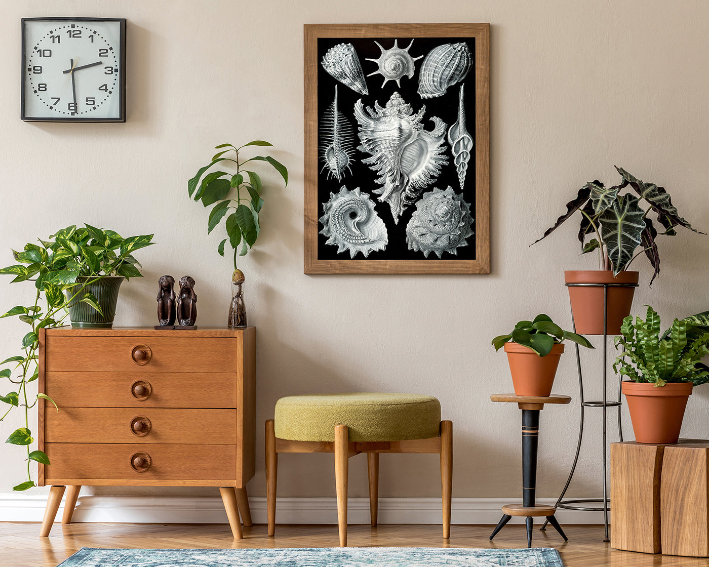 Ernst Haeckel - Seemuscheln und Schnecken