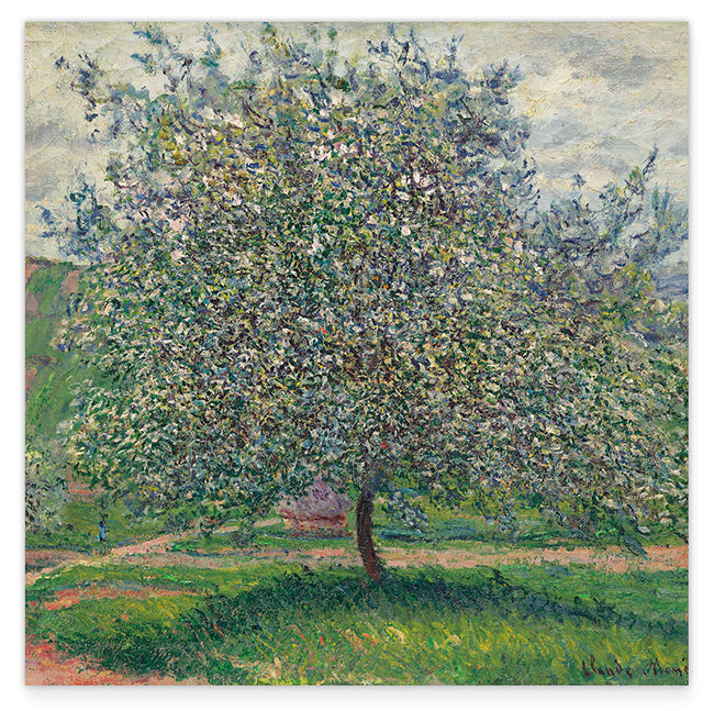 Claude Monet - Apfelbaum Hover Image