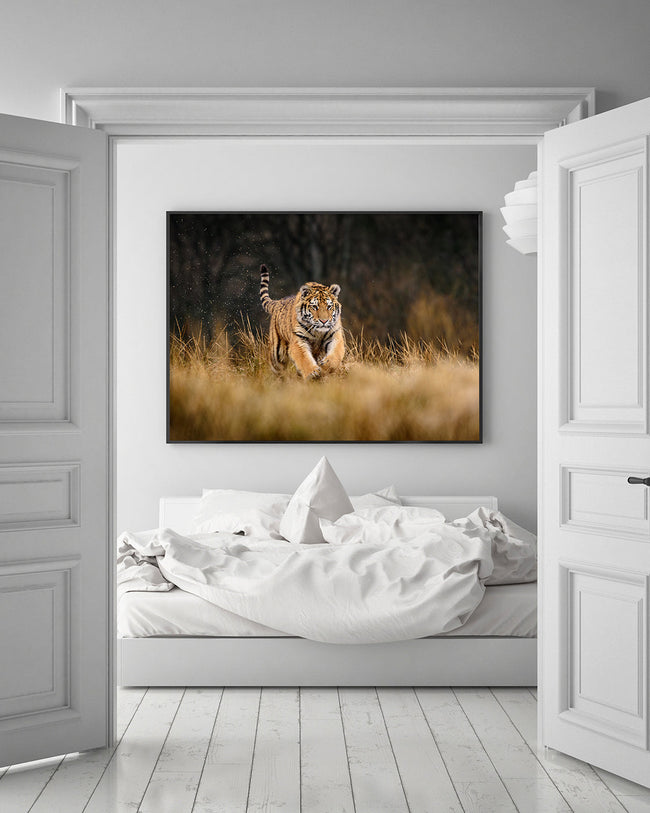 Rennender Tiger Main Image