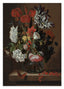 Jacob Marrel - Blumen-Stillleben