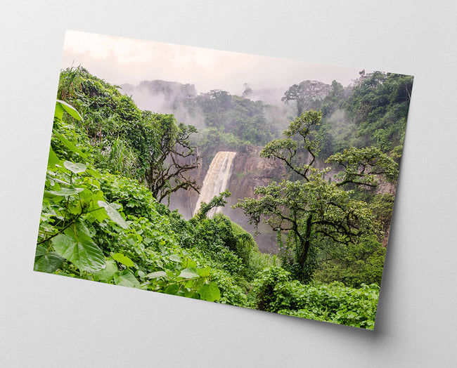 Asiatischer Regenwald Main Image