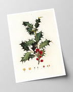 Stechpalme Weihnachten