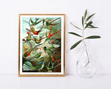 Ernst Haeckel - Vögel im Paradies