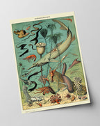 Adolphe Philippe Millot - Unterwasserwelt I