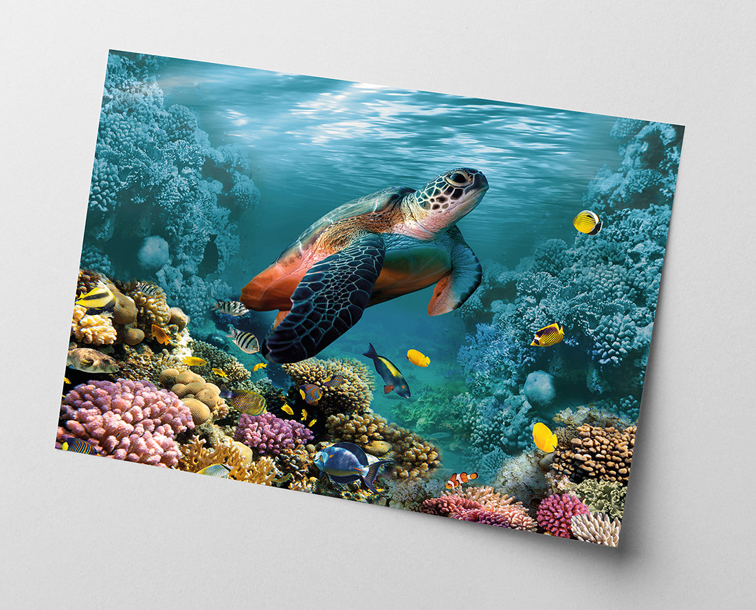 Schildkröte im Korallenriff