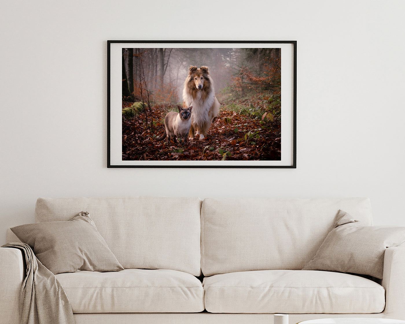 Katze und Hund in der Natur