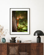 Eichhörnchen am Baum