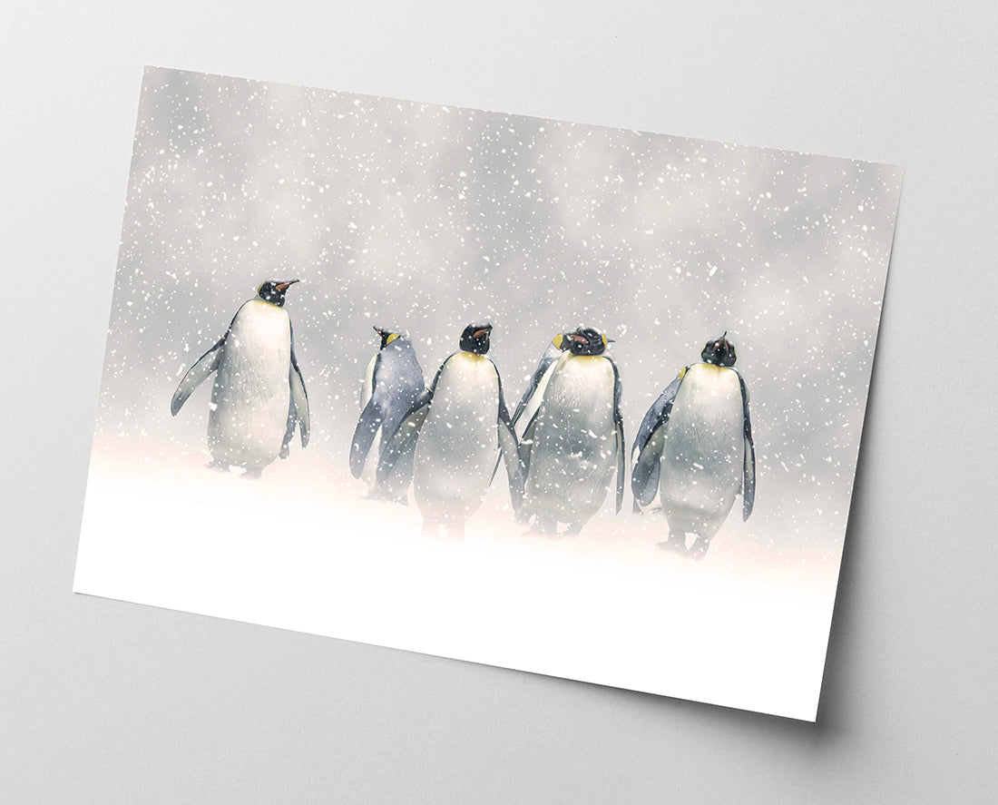 Pinguine im Schnee