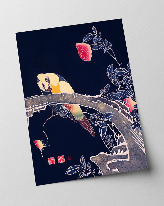 Itō Jakuchū - Vogel auf schwarzem Hintergrund Main Image