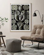 Ernst Haeckel - Kunstformen des Meeres