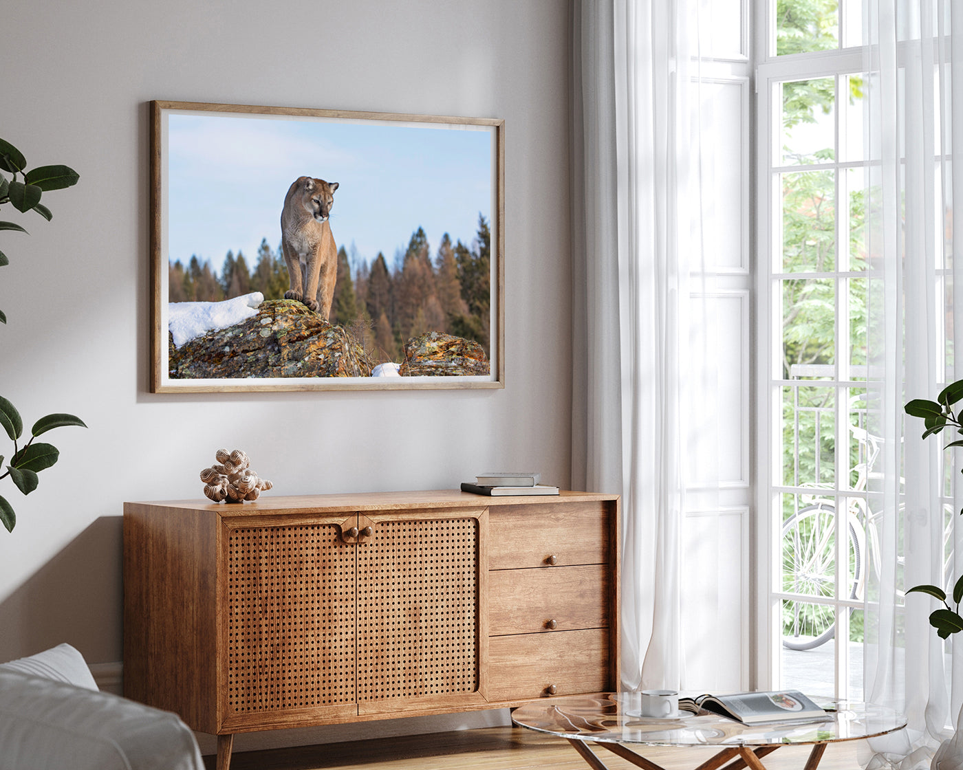 Puma in Berglandschaft