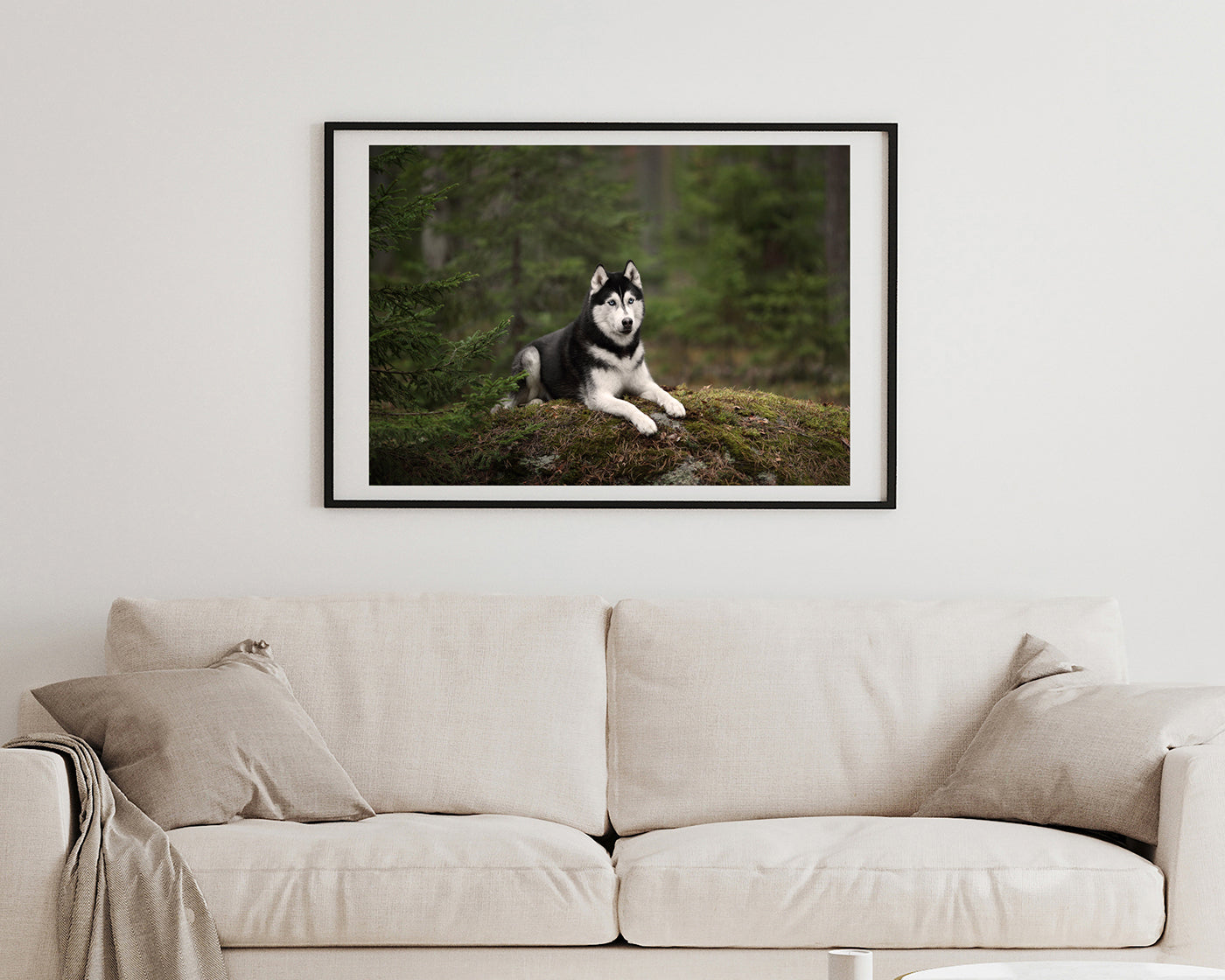 Husky im Wald