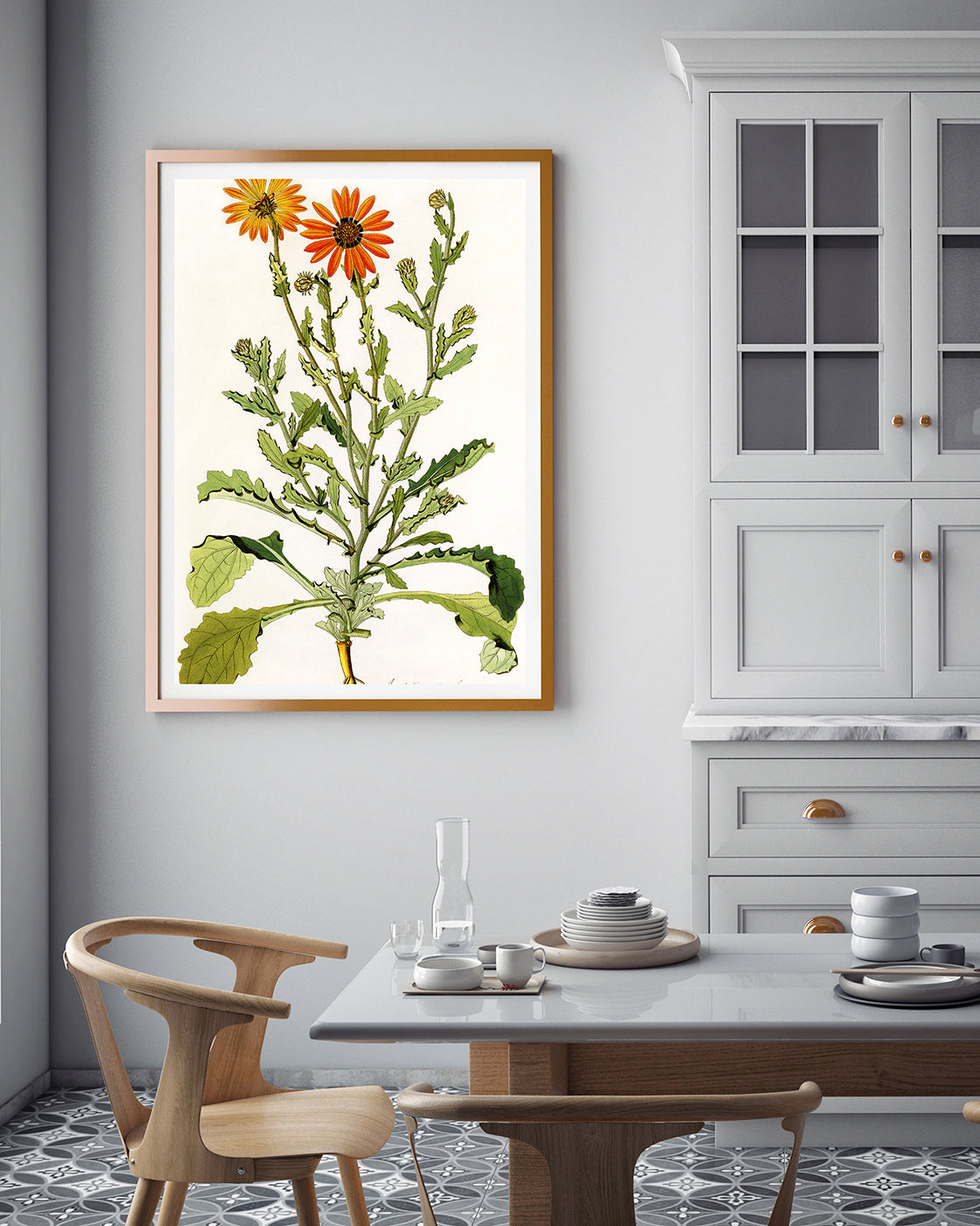 Arctotis Spinulosa - orangene Blüten