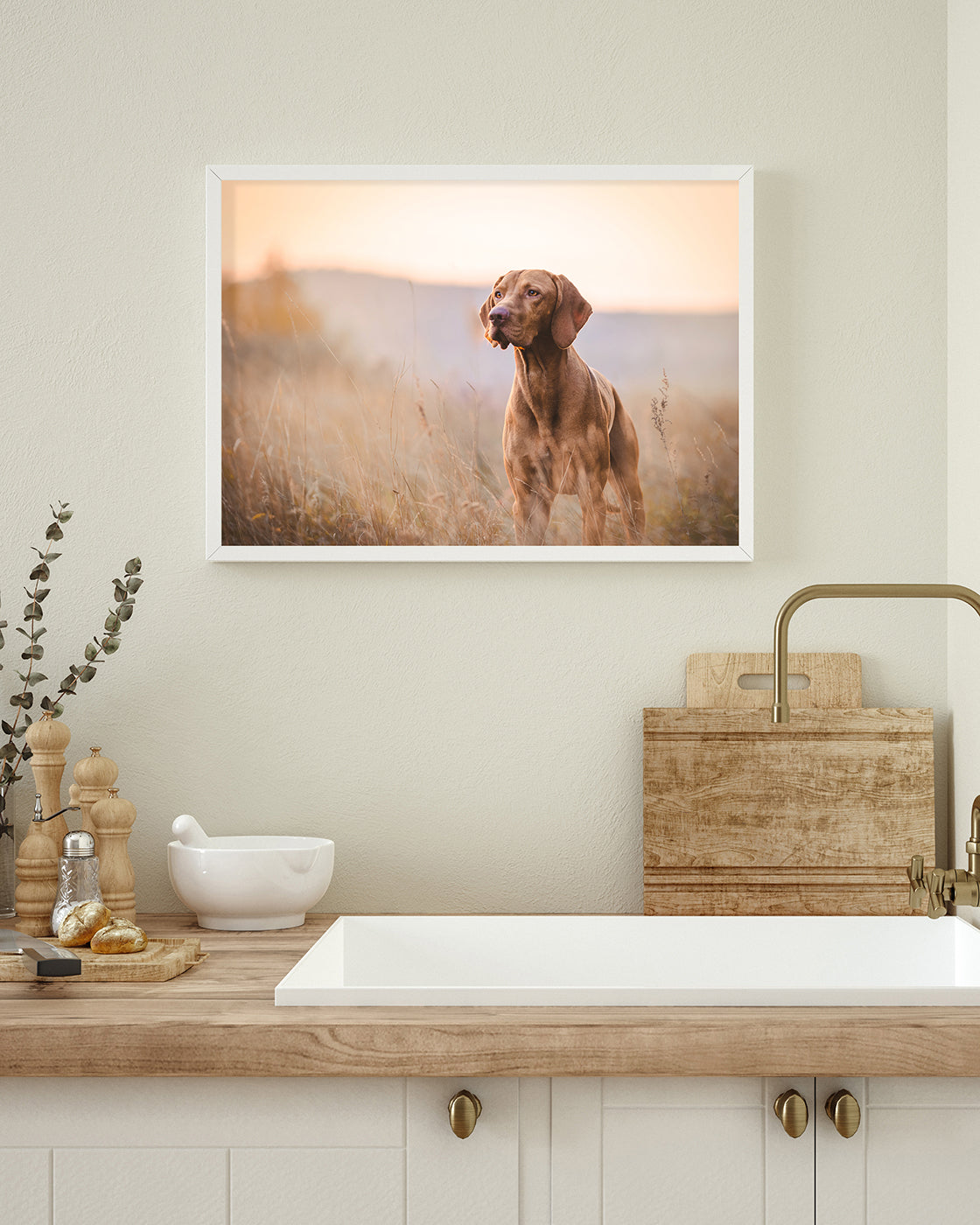 Jagdhund in der Natur