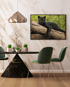 Schwarzer Panther auf einem Baum