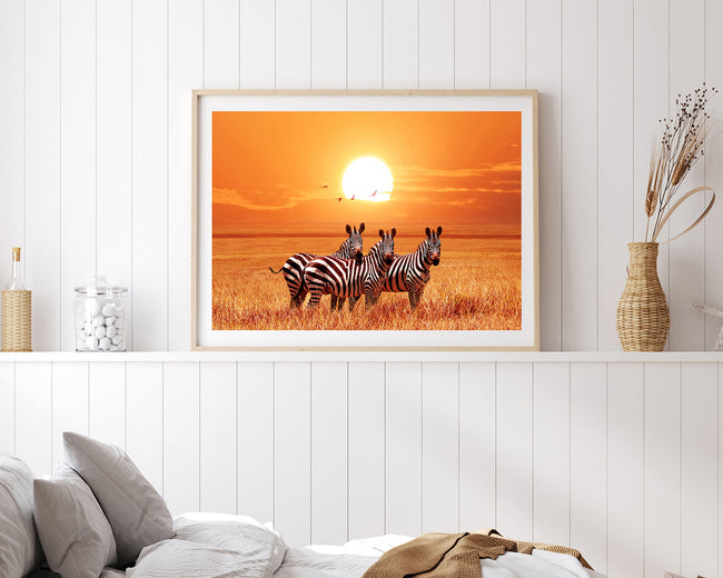 Zebras bei Sonnenuntergang Main Image