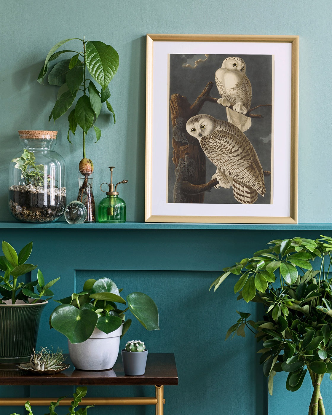 John James Audubon - Weiße Eulen bei Nacht