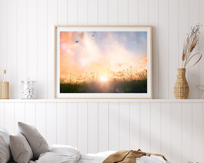 Sonnenstrahlen auf einer Wiese Main Image